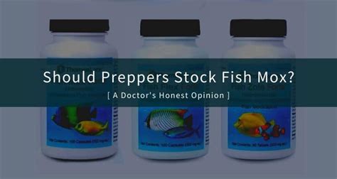 fish antibiotics that are similar to take as a human